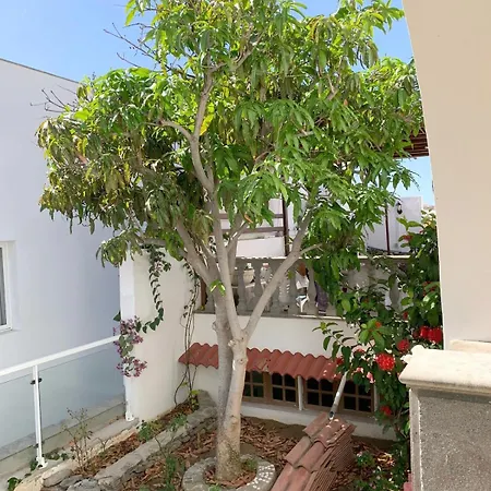 Tropical Sunset House San Bartolomé
